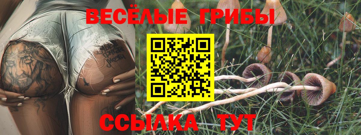 Псилоцибиновые грибы Magic Shrooms Кисловодск
