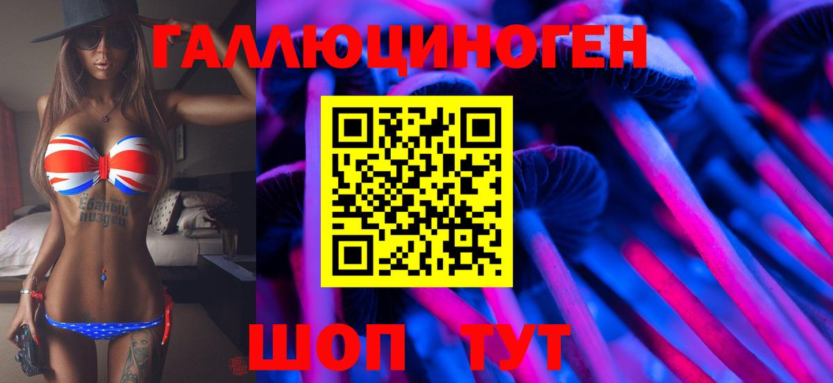 Галлюциногенные грибы GOLDEN TEACHER  Вход с VPN  Галлюциногенные грибы MAGIC MUSHROOMS  Кисловодск 